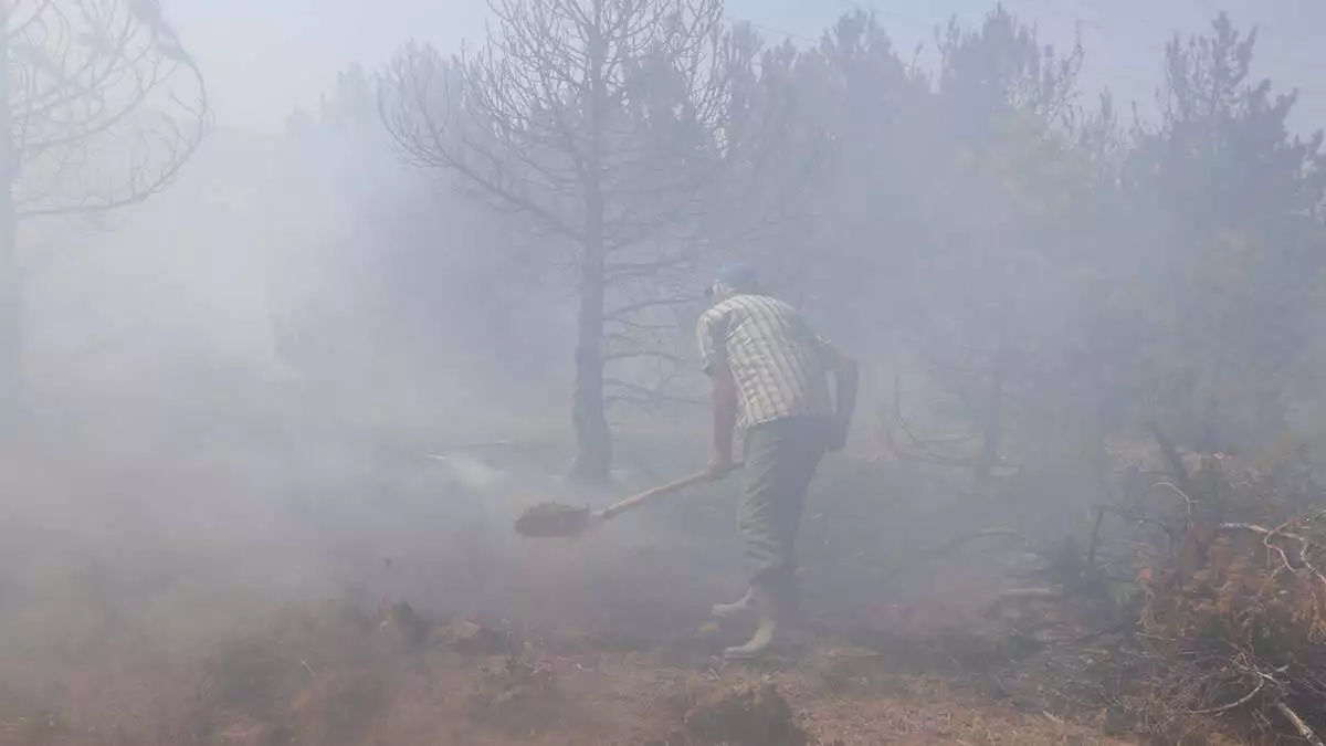 Karamanda yanginda 5 hektar alan zarar gordu - yerel haberler - haberton