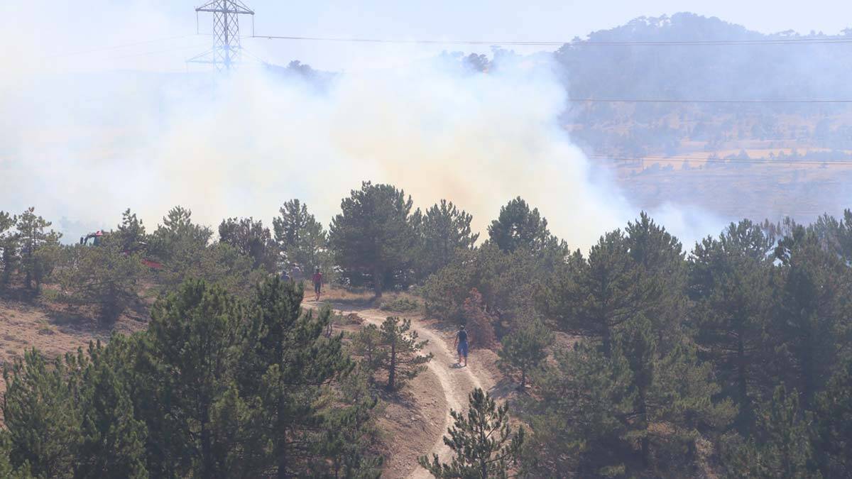 Karaman'da yangında 5 hektar alan zarar gördü