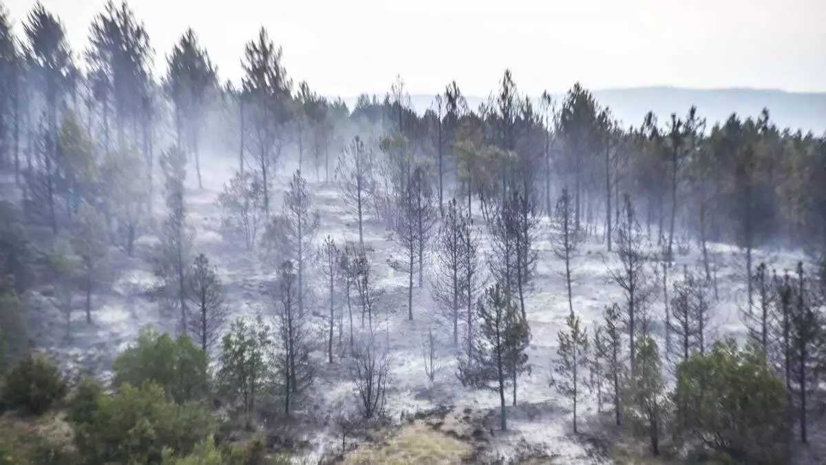 Kastamonu'da yangın 3 dönüme zarar verdi