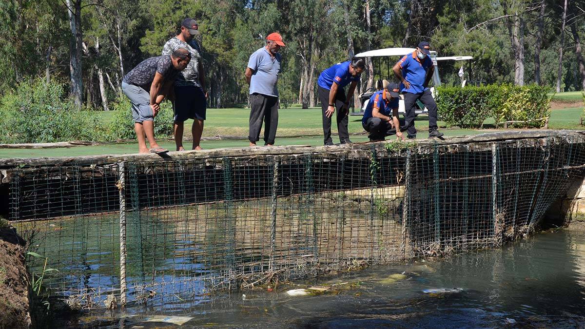 Kayıp Ecrin'i arama çalışmaları sürüyor