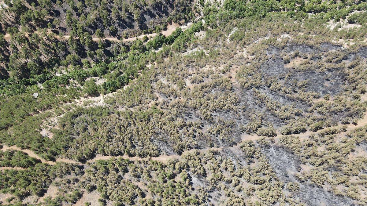 Kayseri'deki yangın 3'üncü günde kontrol altında