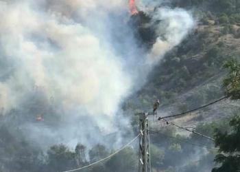 Kızılcahamam'da ormanlık alanda yangın çıktı