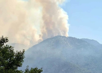 Köyceğiz'de söndürme çalışmaları sürüyor