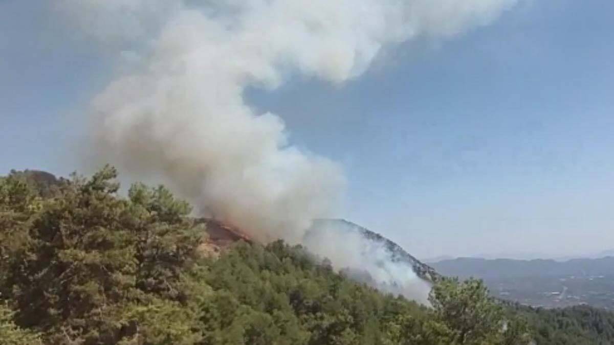 Köyceğiz'de yangın