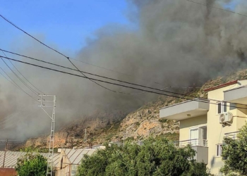 Mersin'de orman yangını devam ediyor