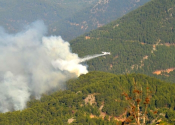 Mersin'deki yangına havadan müdahale başladı_2