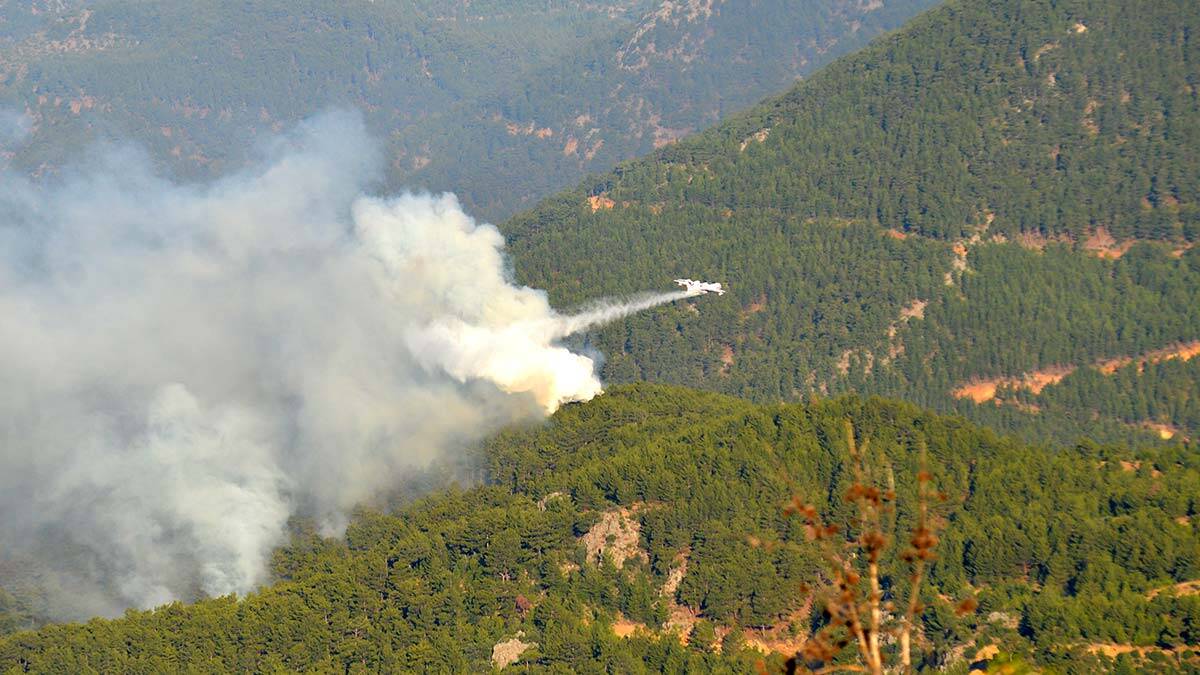 Mersin'deki yangına havadan müdahale başladı_2