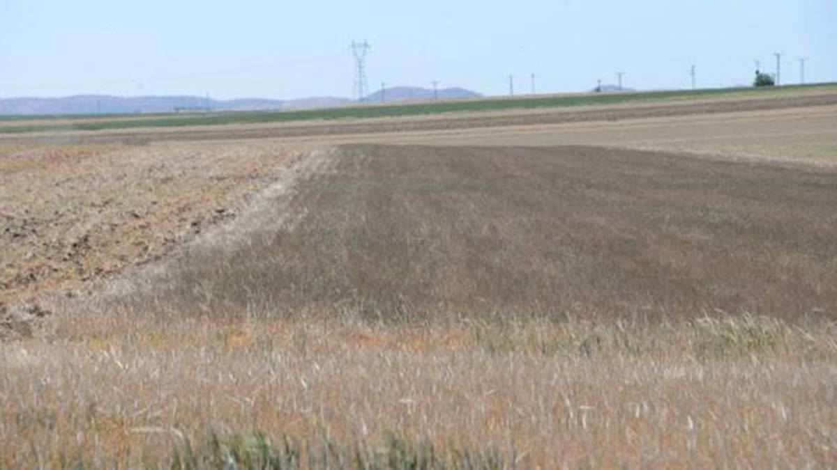 Meteoroloji uzmanı_Kuralık için OHAL ilan edilmeli_