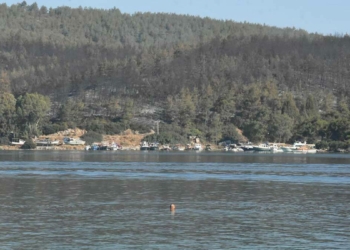 Milas ve Bodrum'daki orman yangını kontrol altında