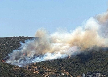 Muğla'nın Bodrum ilçesinde yangın