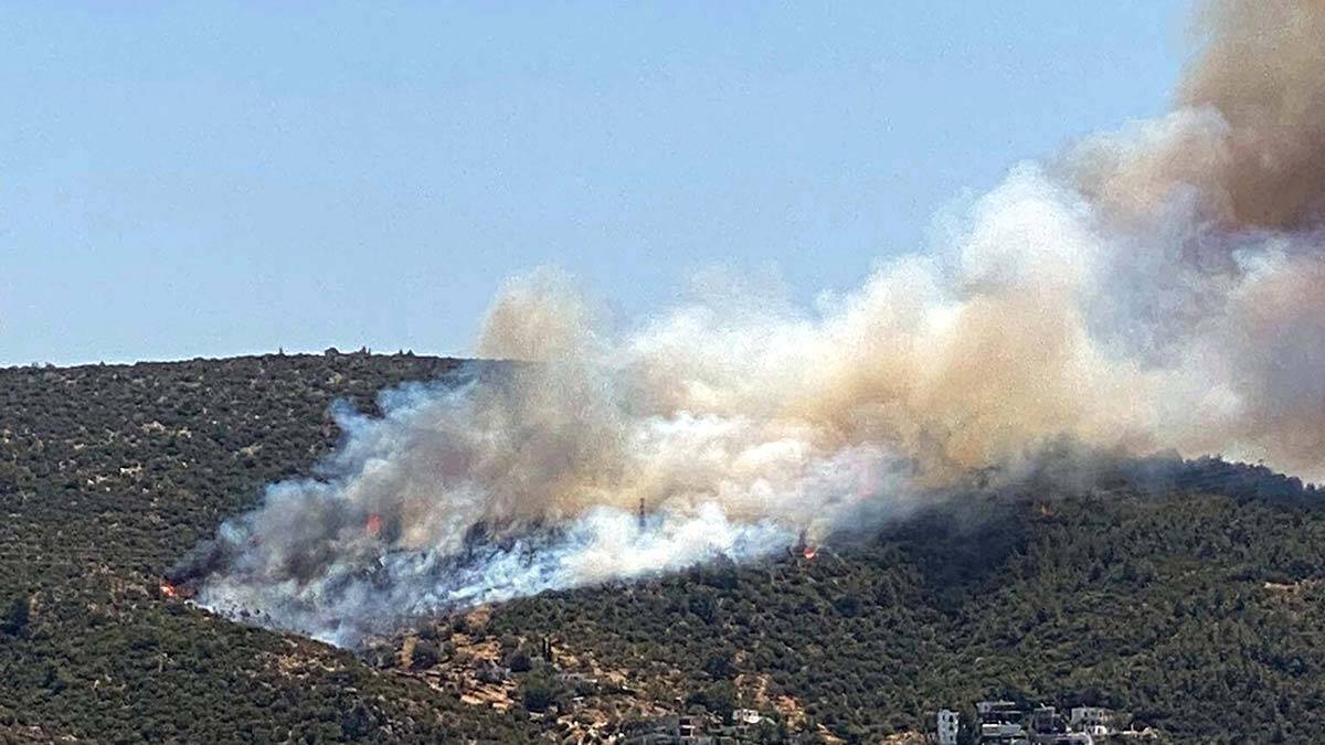 Muğla'nın Bodrum ilçesinde yangın