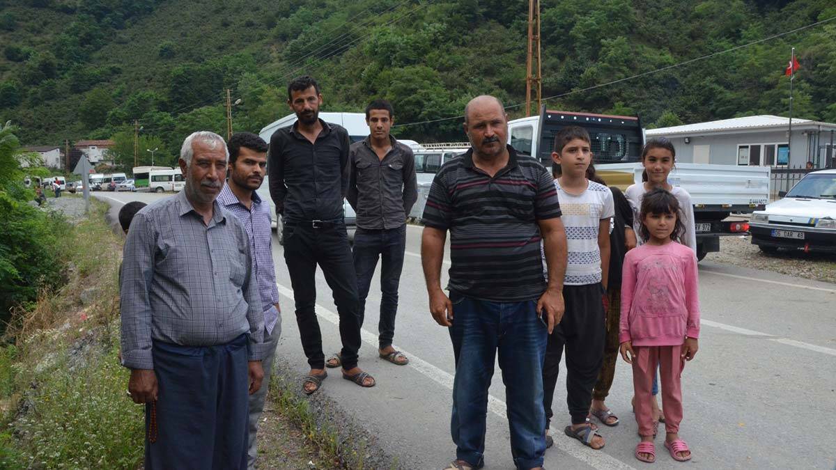 Ordu'da fındık hasadı için mevsimlik işçiler geldi