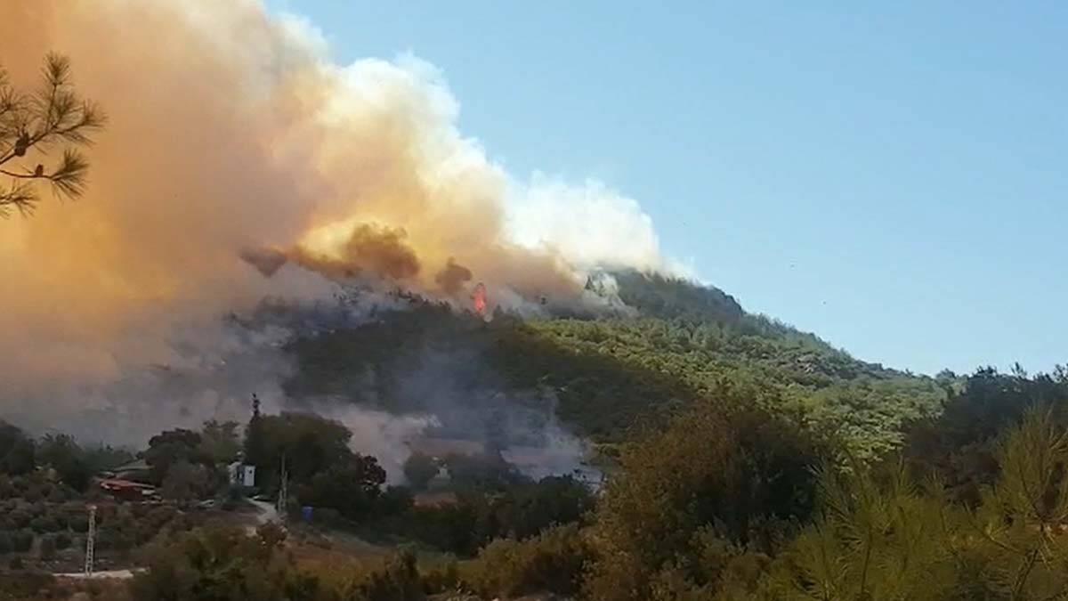 Osmaniye'de ormanlık alanda yangın için söndürme ekipleri bölgeye sevk edildi