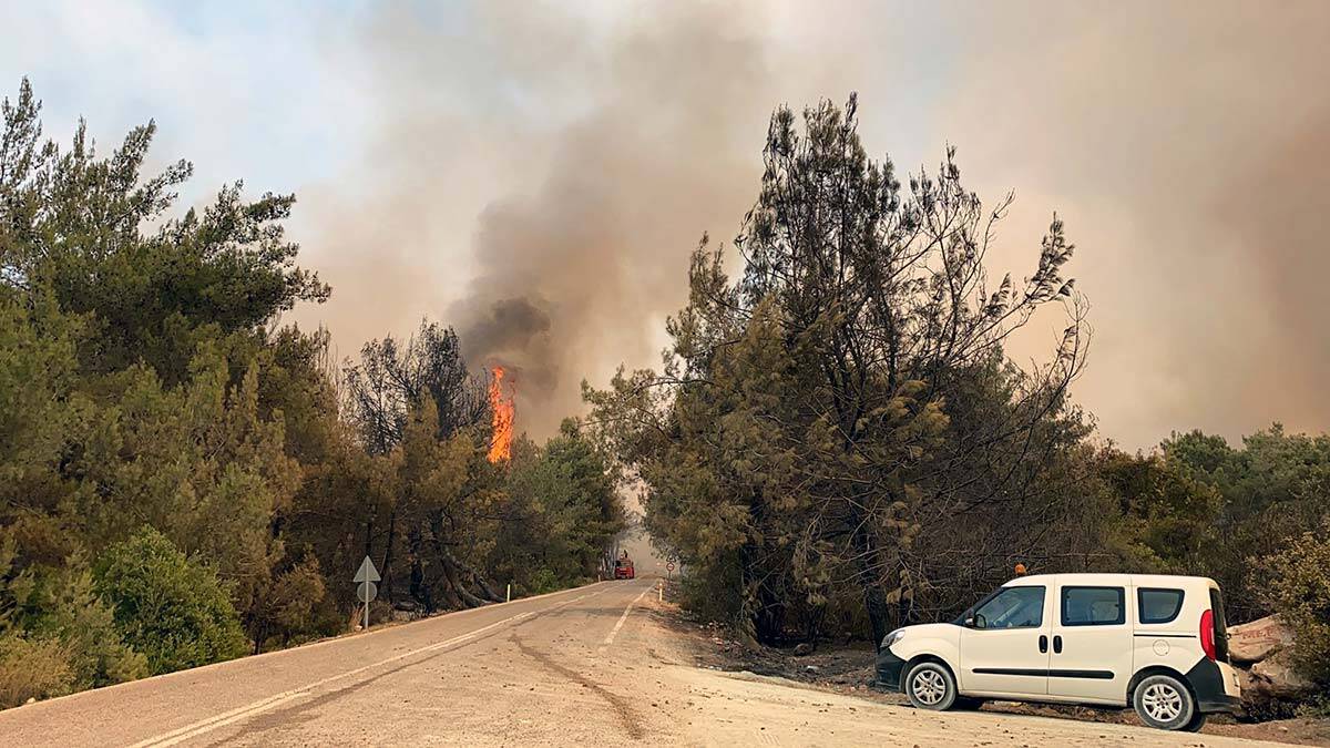 Osmaniye'deki yangın