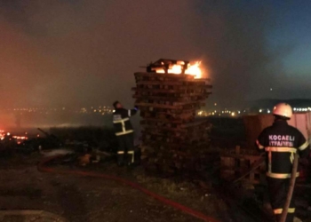 Palet fabrikasında binlerce palet alev alev yandı