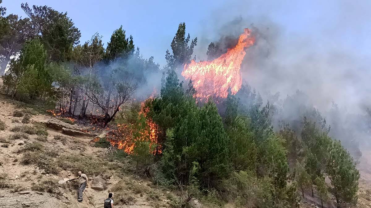 Pozantı'da yangında 20 dönüm alan zarar gördü