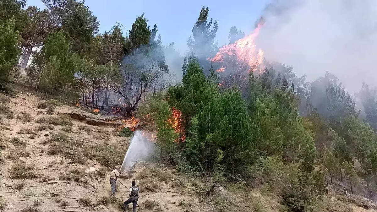 Pozantida yanginda 20 donum alan zarar gordu 2 - yerel haberler - haberton