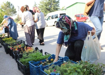 Büyükşehir on binlerce çiçek dağıttı