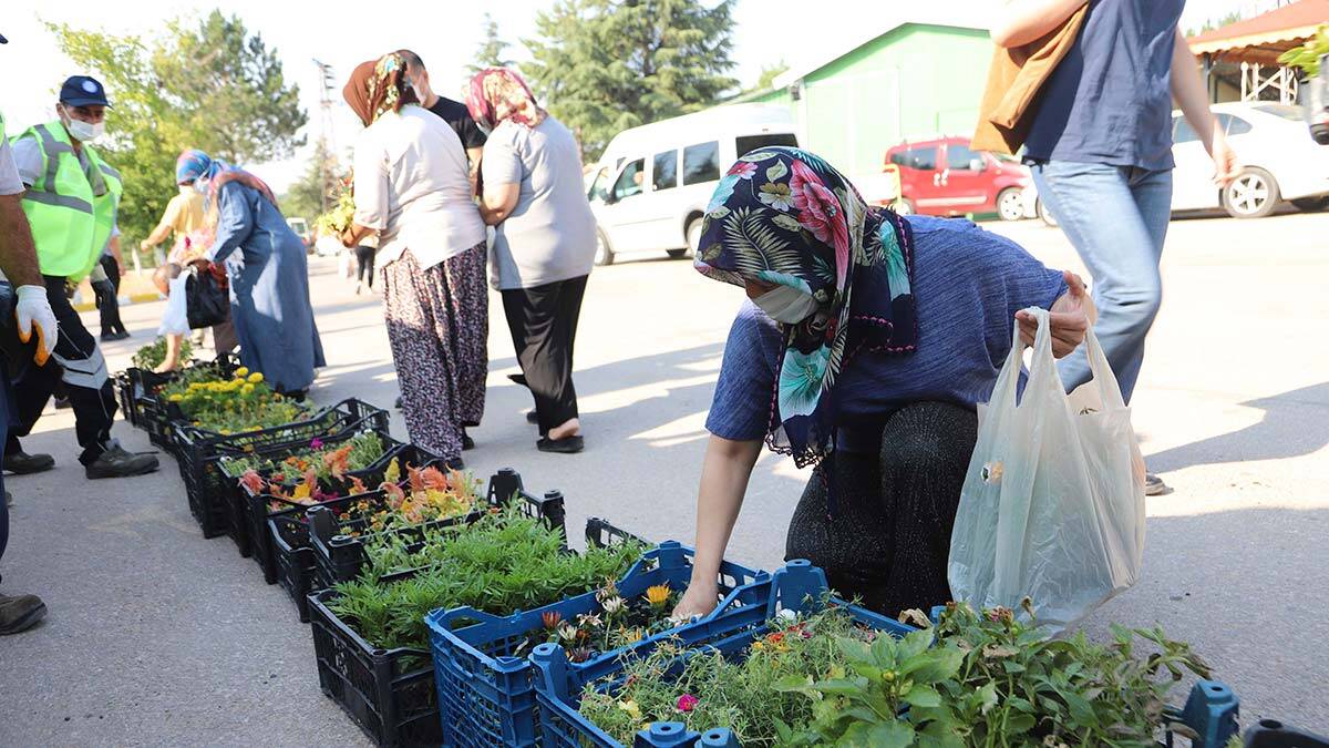 Büyükşehir on binlerce çiçek dağıttı