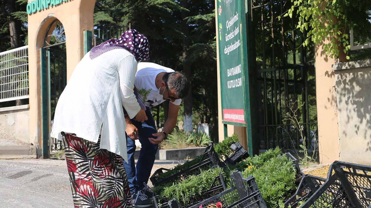 Büyükşehir on binlerce çiçek dağıttı