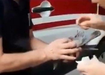 Sağlık çalışanları yaralı kuşu tedavi etti