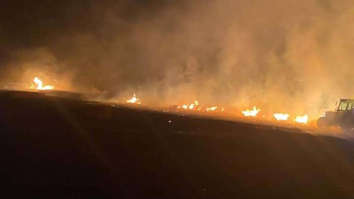 Silivri'de 10 dönüm buğday tarlası yandı