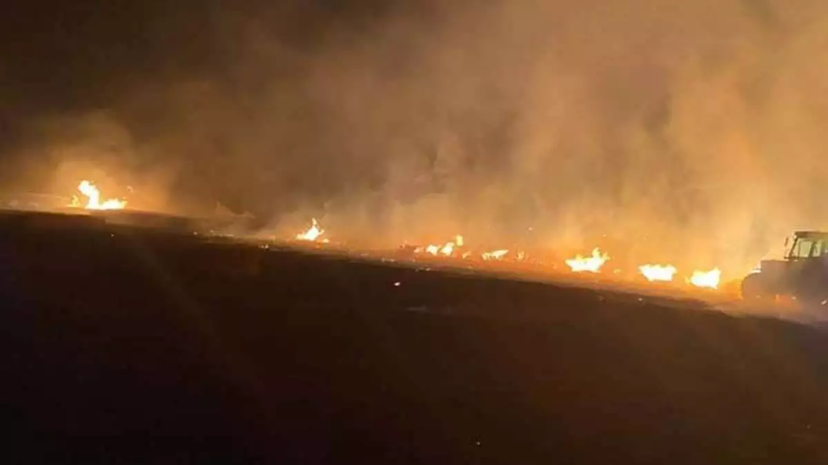 Silivri'de 10 dönüm buğday tarlası yandı