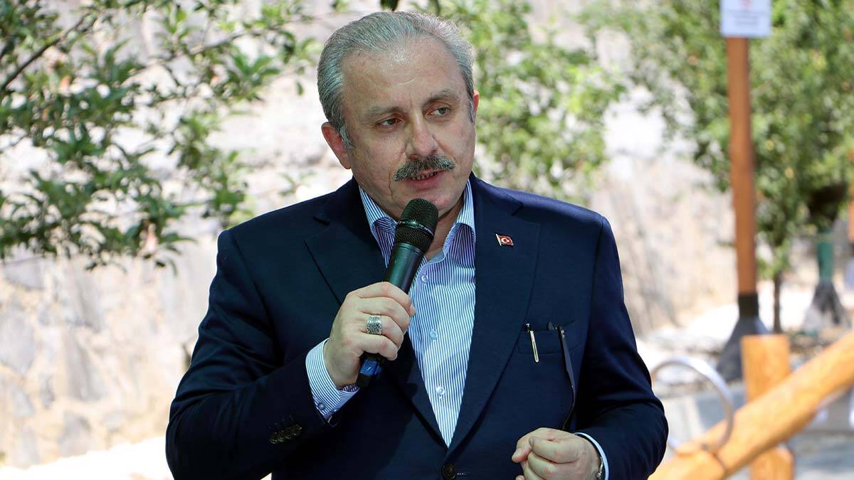 TBMM Başkanı: Yaşananlar endişe verici