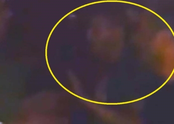 TRT'nin işgalinin yeni görüntüleri ortaya çıktı_2