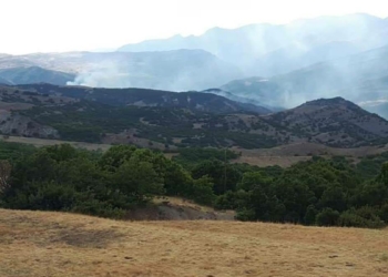 Tunceli Valiliği orman yangını iddialarını yalandı