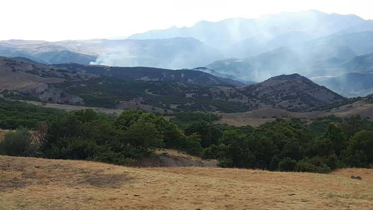 Tunceli Valiliği orman yangını iddialarını yalandı