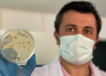 Türk bilim insanları 60 yeni tür bakteri keşfetti