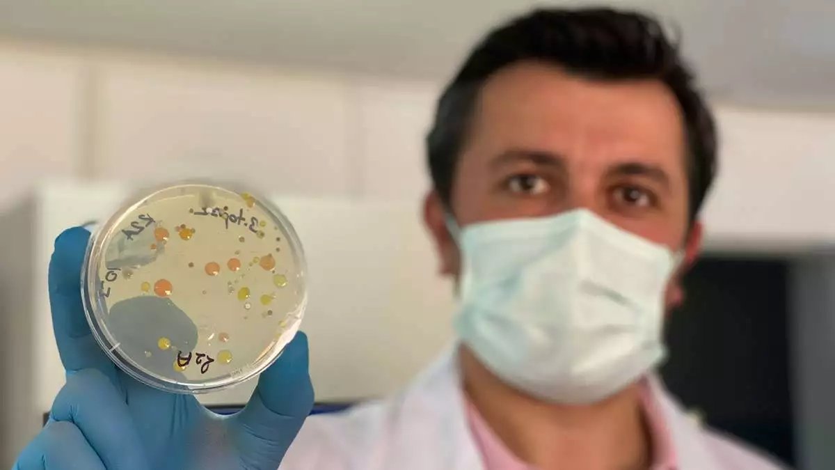 Türk bilim insanları 60 yeni tür bakteri keşfetti