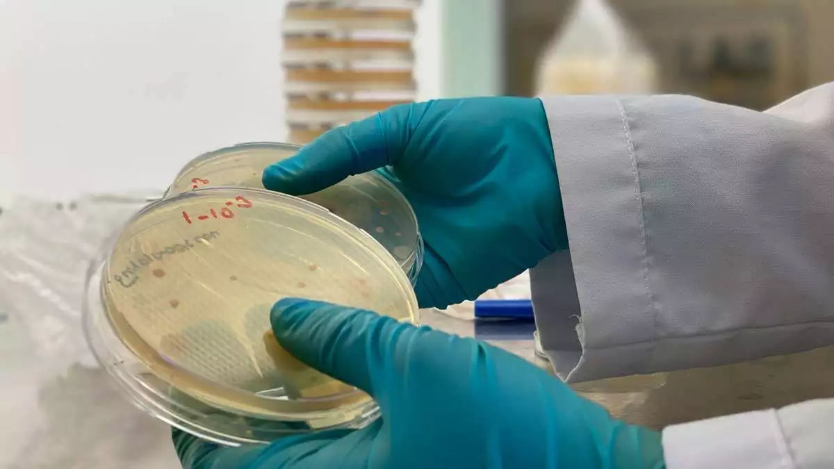 Turk bilim insanlari 60 yeni tur bakteri kesfetti 3 - öne çıkan - haberton
