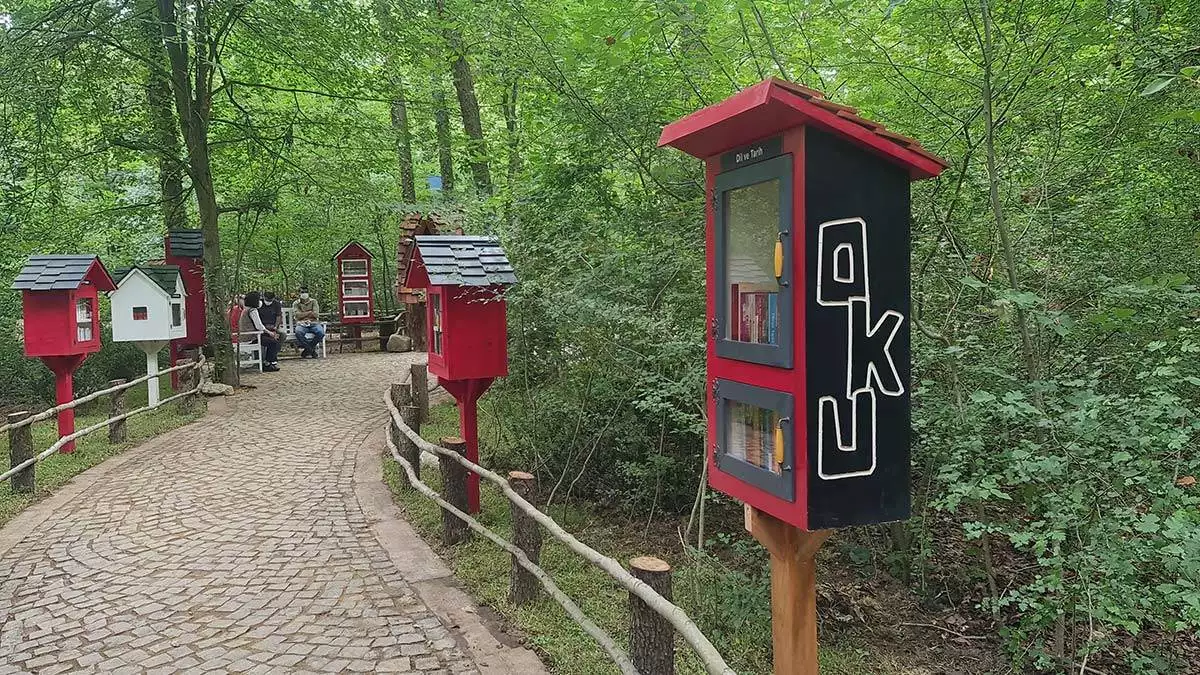 Turkiyenin ilk orman kutuphanesinde 2 bini askin kitap 4 - kültür ve sanat - haberton