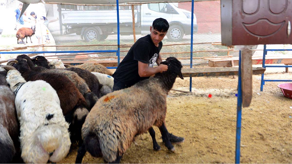 Ucuz fiyata kurban için 2. günü beklediler