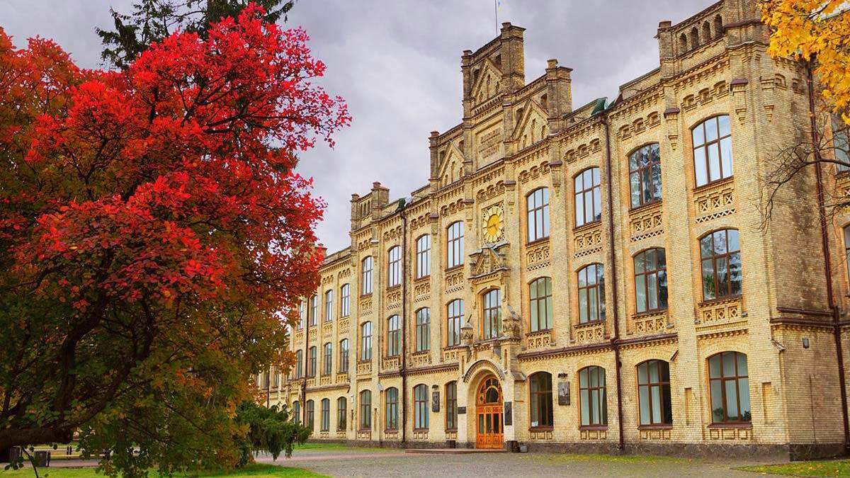 Ukrayna'da üniversite eğitimine talep yüzde 500 arttı