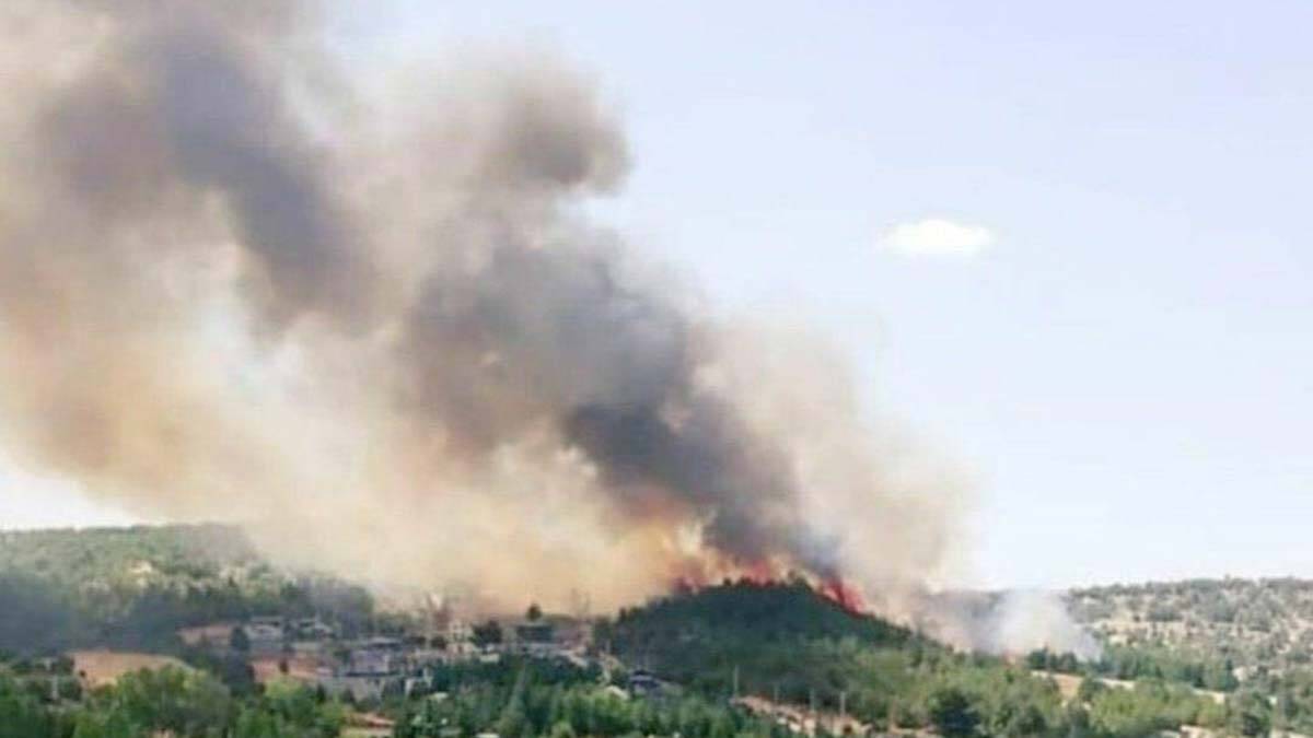 Uşak'ta orman yangını çıktı