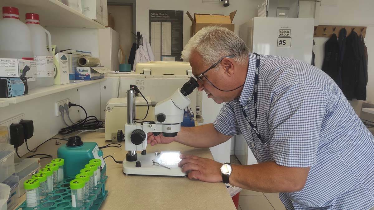 VLP aşısında gönüllü endişesi_2