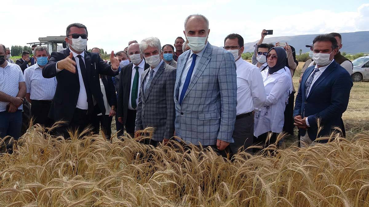 Verimli dana yetiştiren gözümde bir sanatçıdır