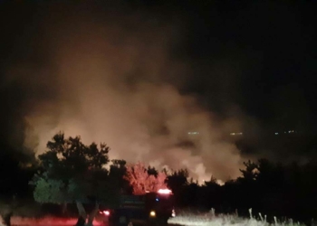 Yakalanan 2 PKK'lı ile ilgili son dakika gelişmesi