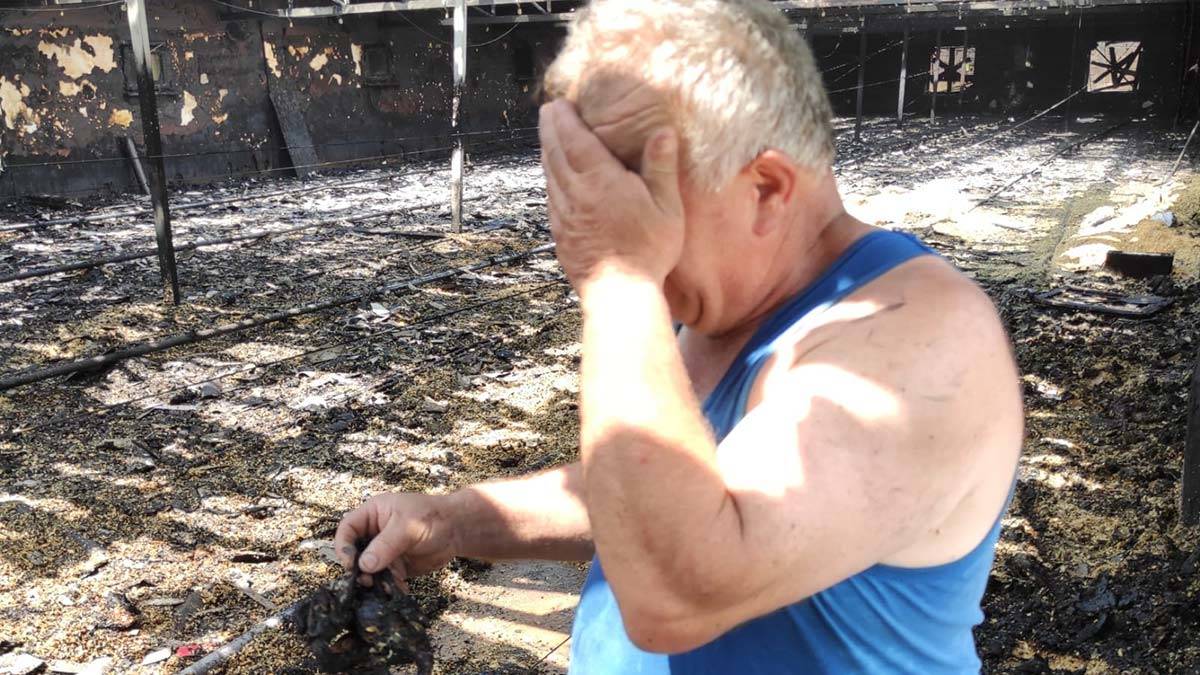 Yangında 12 bin hindi yavrusu telef oldu