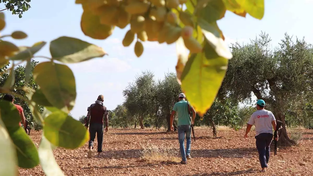 Yesil altin icin tufekli nobet 3 - yerel haberler - haberton