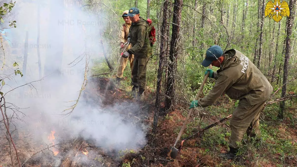 Rusya'da orman yangınlarıyla mücadele