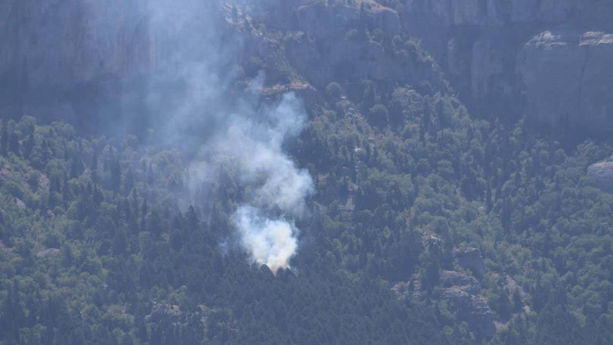 Adana Feke'de orman yangını