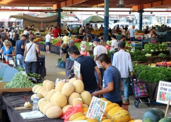 Adana'da aşırı sıcak meyve ve sebzeleri yaktı