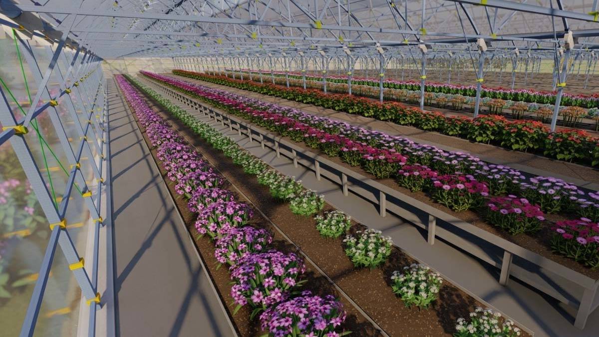 ANFA iki yeni proje için düğmeye bastı