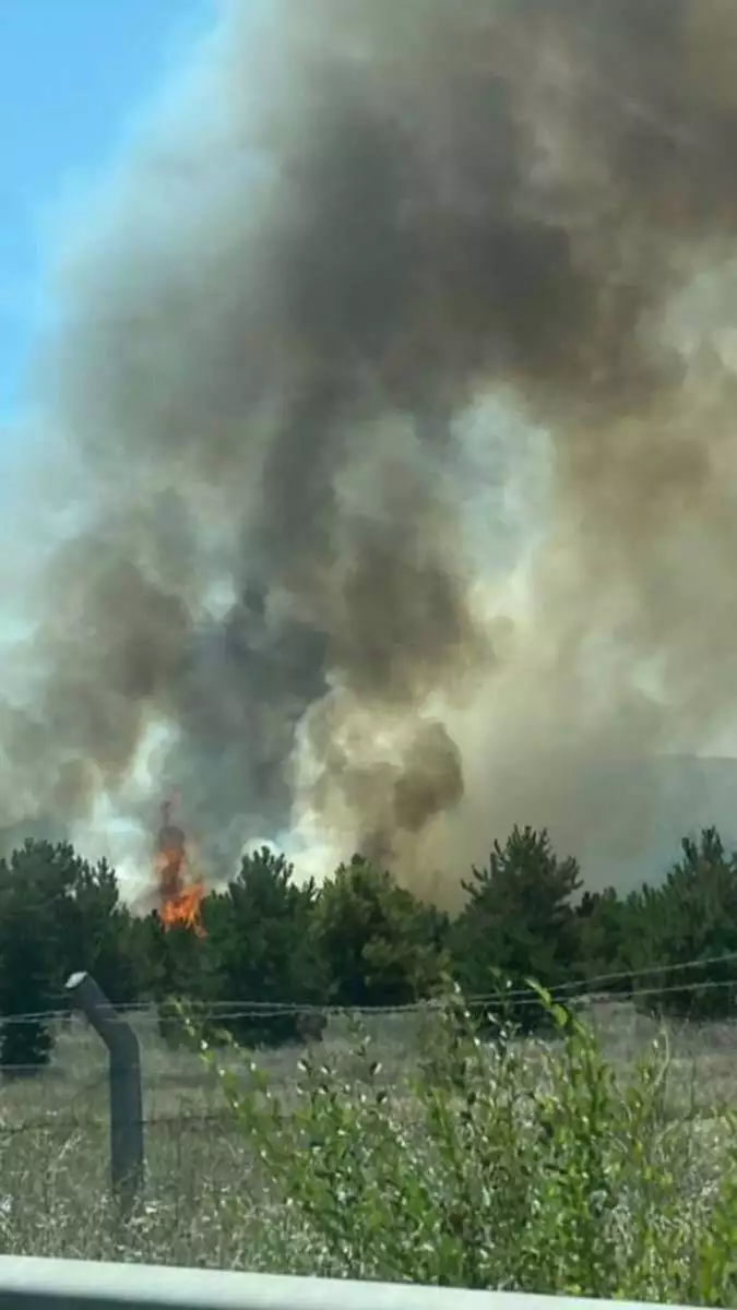 Atatürk orman çiftliği arazisinde yangın