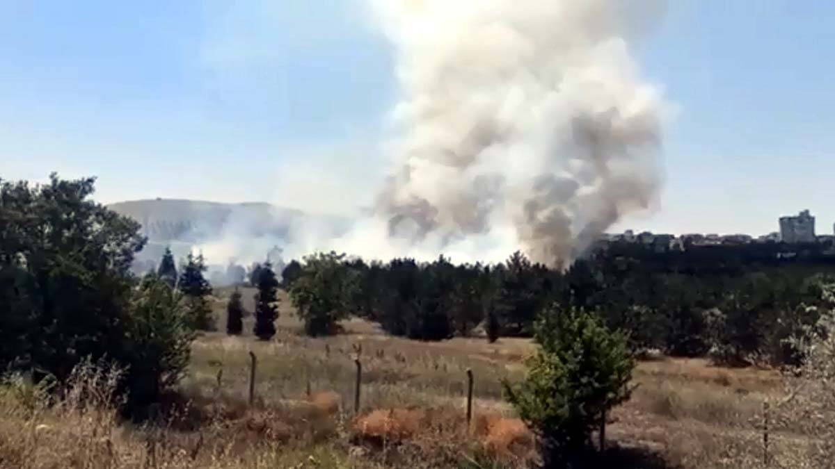 Atatürk Orman Çiftliği arazisinde yangın