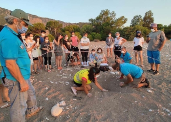 Caretta caretta yavruları denizle buluştu